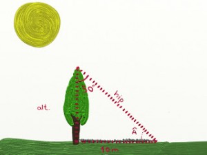 Ejercicios trigonometría